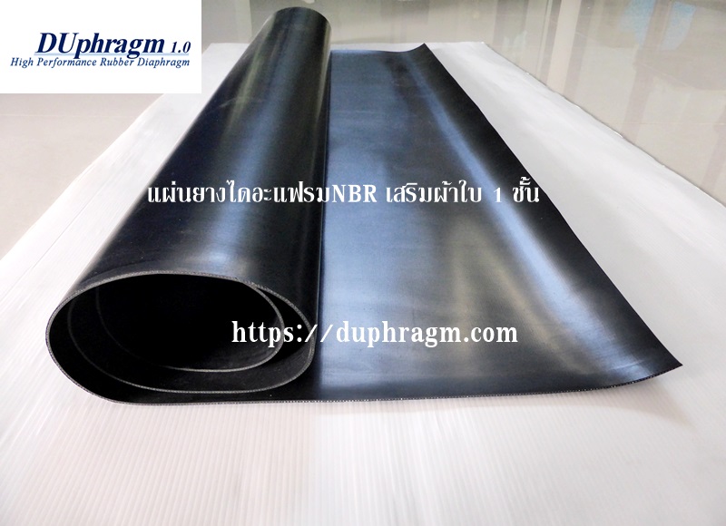 DIe cut PTFE Diaphragm