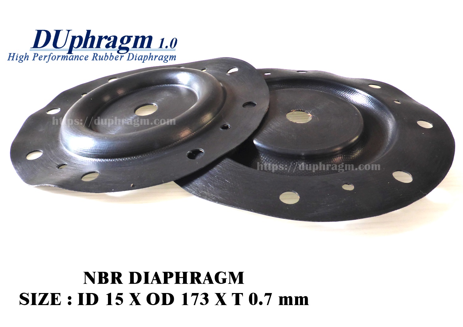 NBR Diaphragm.JPG