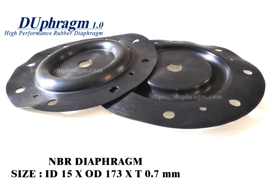 NBR Diaphragm.JPG