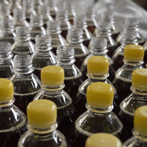 ยางไดอะแฟรมสำหรับ Food & Beverage Processing